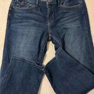 Banana Republic Dark Blue Denim Jeans